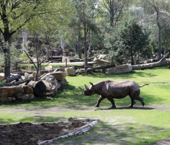 Wygraj wycieczkę do Lipska  zoo i park rozrywki Belantis gwarantują zabawę dla całej rodziny